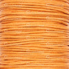 1604-0120